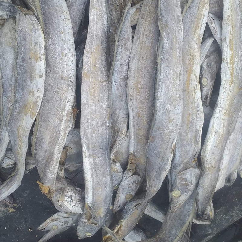 வாலை கருவாடு / Vaala Fish Dry