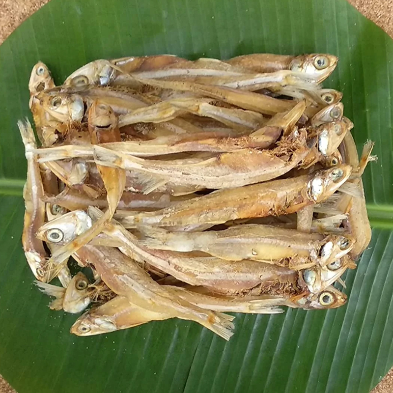 பெரிய நெத்திலி தெராங்கன்னி / Big Nethili Theraankanni