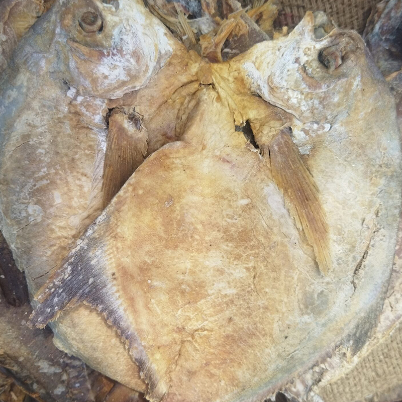 பாறமீன் கருவாடு / Parai Fish Dry